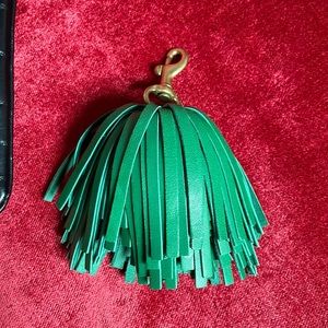 Fringe detail for clutch (clare v)